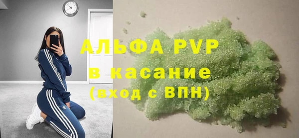 шишки Арсеньев
