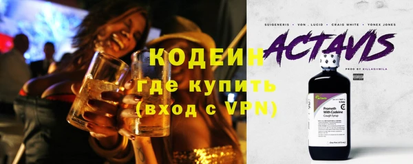 шишки Арсеньев