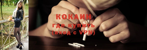 шишки Арсеньев