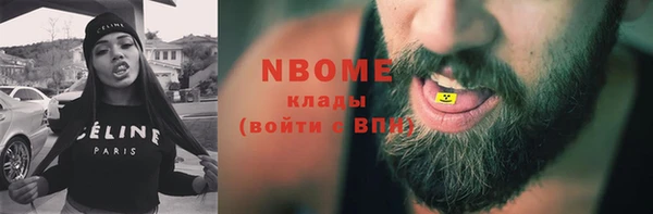 шишки Арсеньев