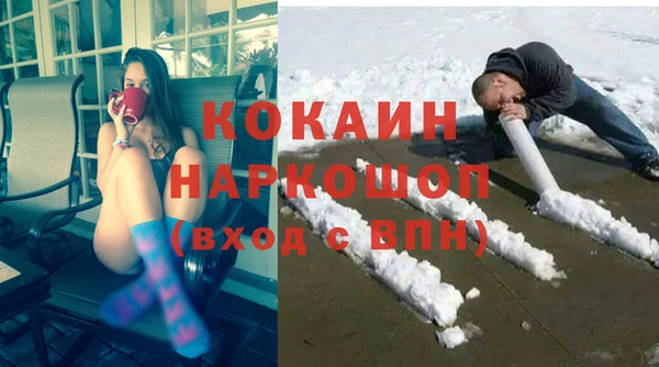 шишки Арсеньев