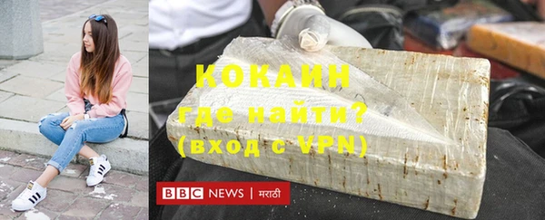 шишки Арсеньев