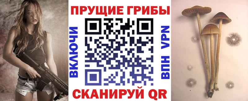 Галлюциногенные грибы мухоморы  Артёмовск 